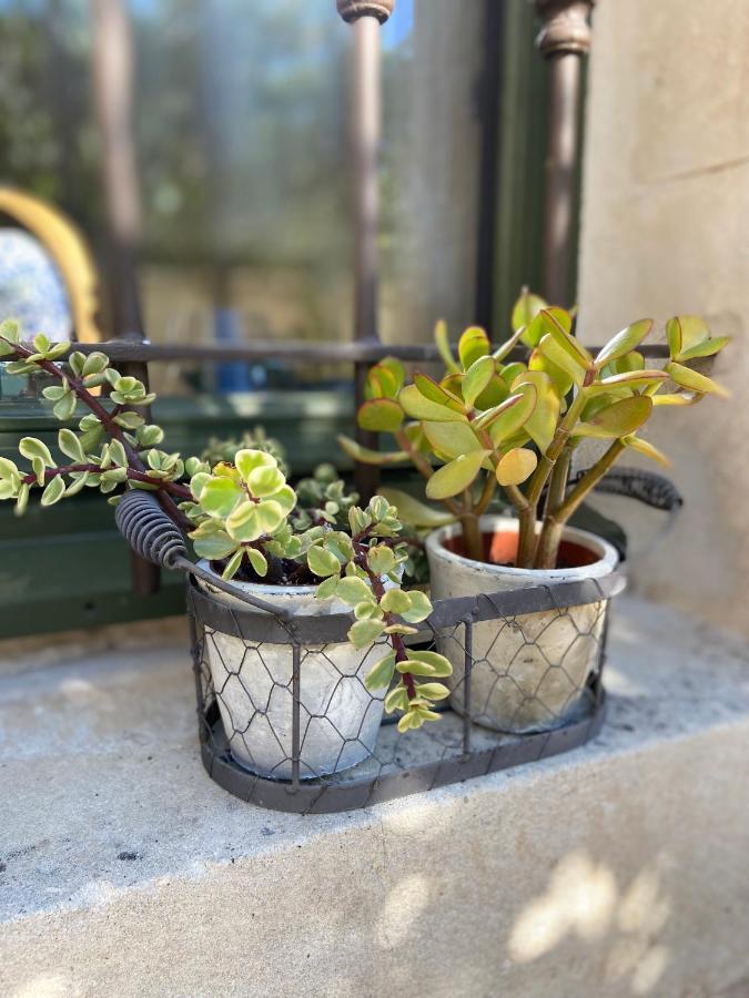 Le Jardinet De Rosa Maison De Village Eygalières Esterno foto
