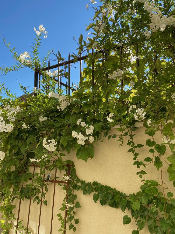 Le Jardinet De Rosa Maison De Village Eygalières Esterno foto